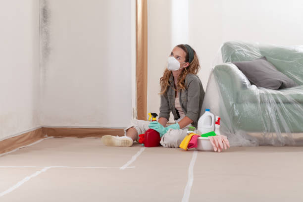 Reliable Commercial Mold Remediation contractor in Plainview, MN by WQB Mold Removal
